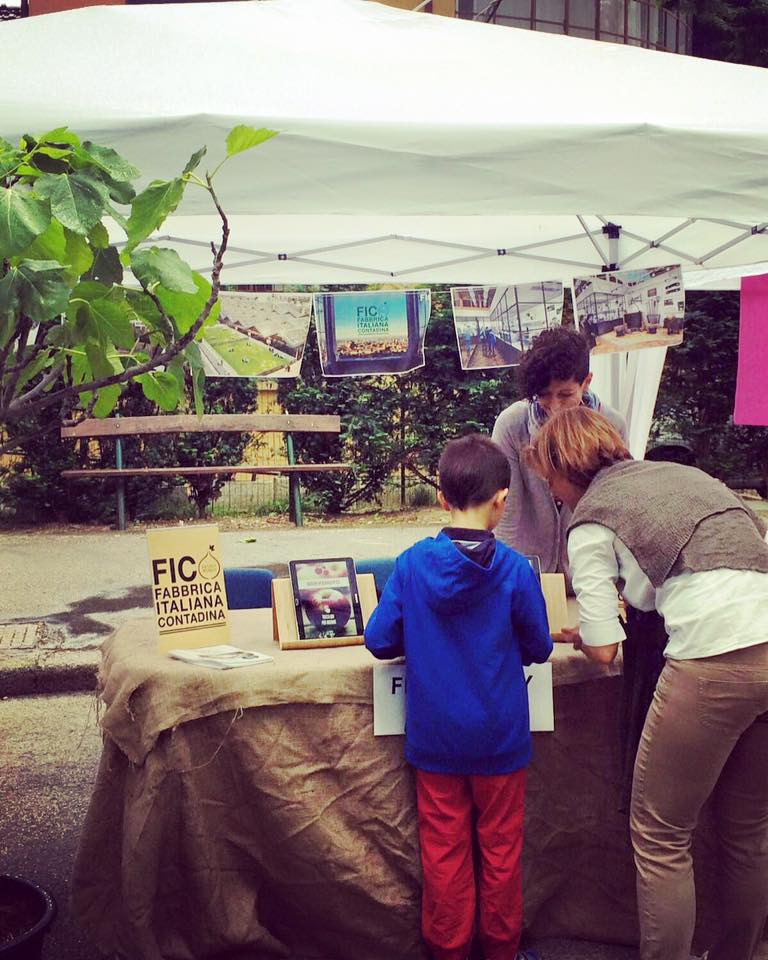 Fico (Istituzionali)