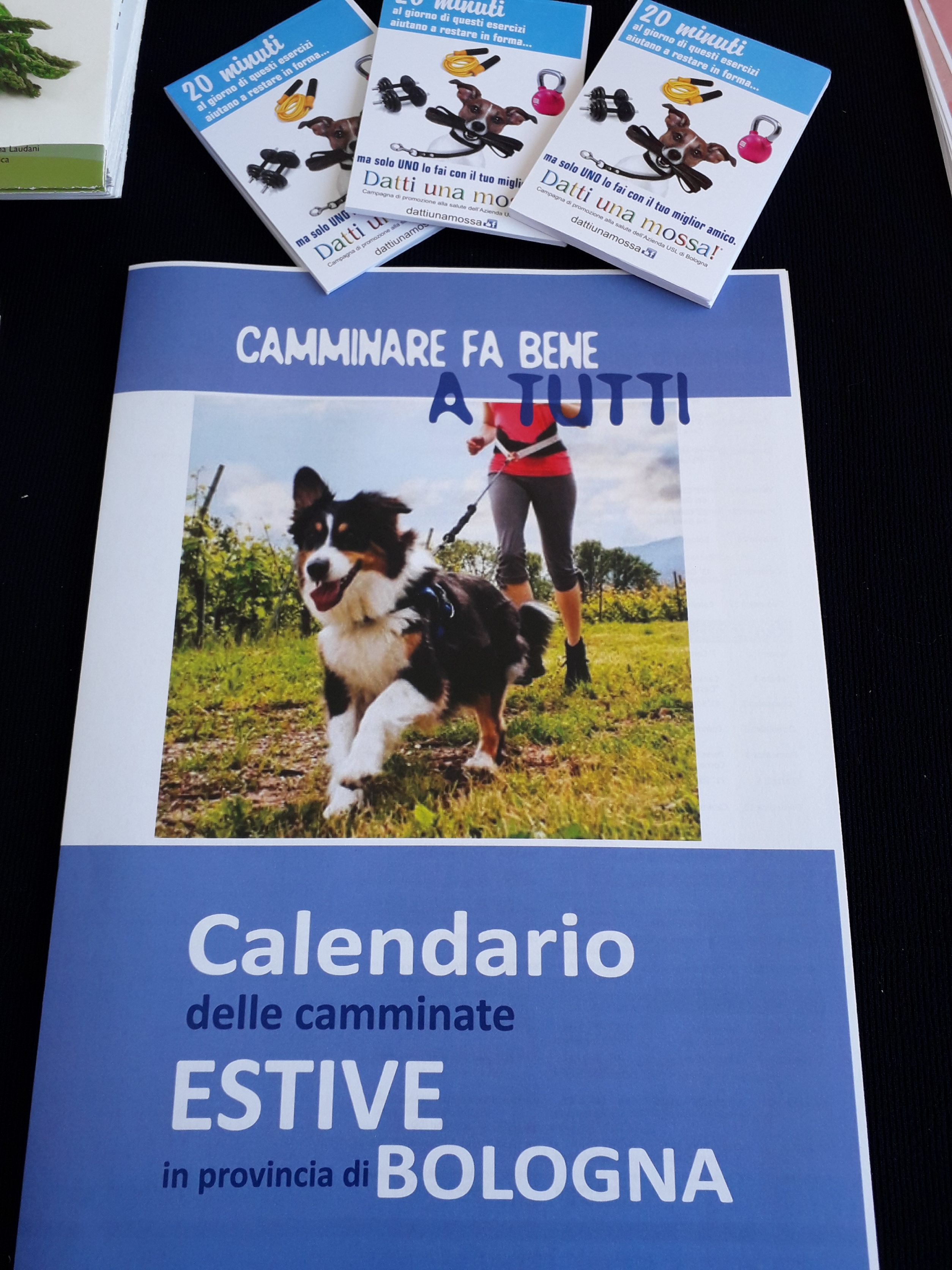 Il calendario delle camminate