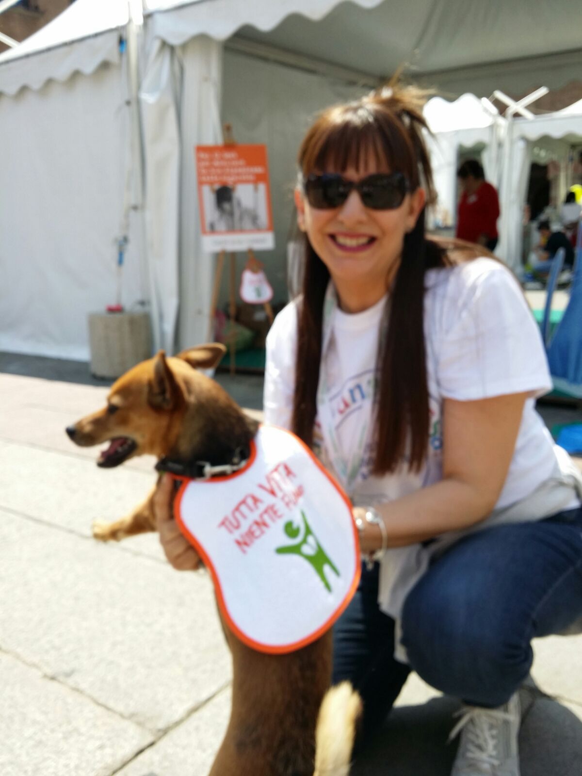 Il fumo passivo danneggia anche i nostri pelosi