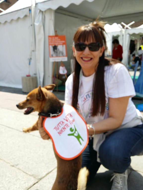 Il fumo passivo danneggia anche i nostri pelosi