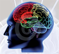 QUANDO LA MENTE SI INVOLA