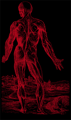 Vita brevis ars longa