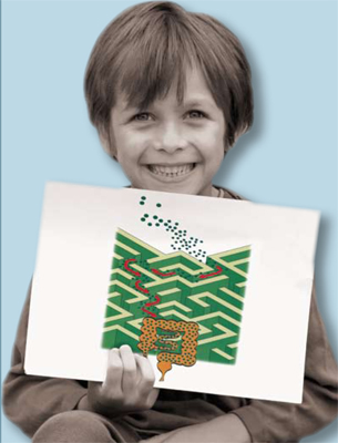 L'intestino che si fa sentire