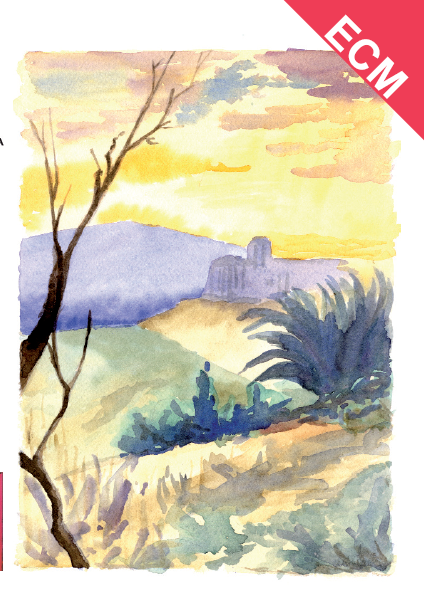 La patologia affettivo-cognitiva dell'anziano