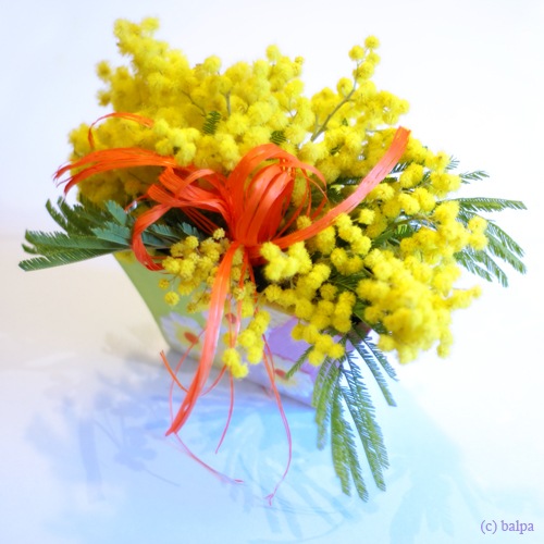 Festa della Donna all'Ospedale Maggiore