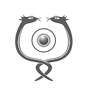 L’Agopuntura Tradizionale Cinese all’indomani del riconoscimento di “patrimonio intangibile dell’umanità” da parte dell’UNESCO e la “sham” agopuntura