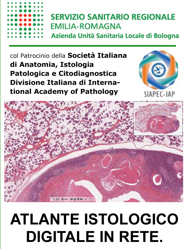 ATLANTE ISTOLOGICO DIGITALE IN RETE