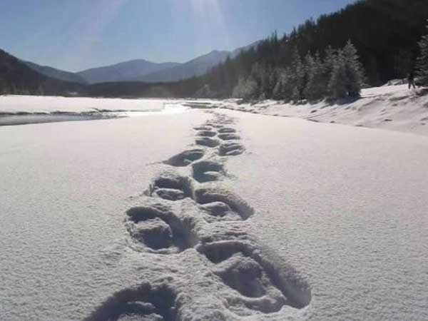 Ciaspola invernale