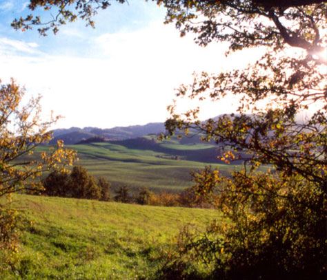 Trekking con il Circolo Ravone