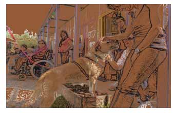 Canile Savena: risorsa e opportunità