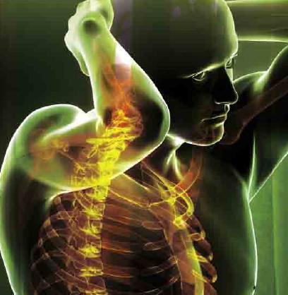 Giornata Nazionale sulle Spondiloartriti: capire, conoscere, curare.