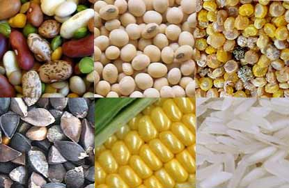 Percorso di educazione alimentare per celiaci 