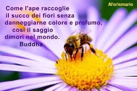 Corso aggiornamento Apicoltura e Sanità Pubblica