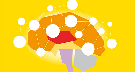 La rete dei tumori rari cerebrali in Emilia Romagna: modelli regionali ed europei