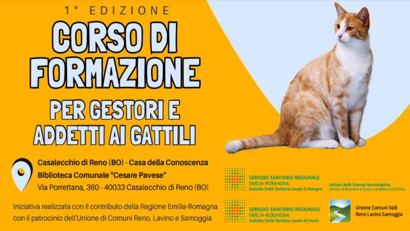 Corso di formazione per gestori e addetti ai gattili