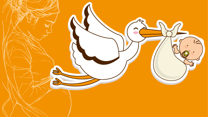 Le cicogne di Bentivoglio