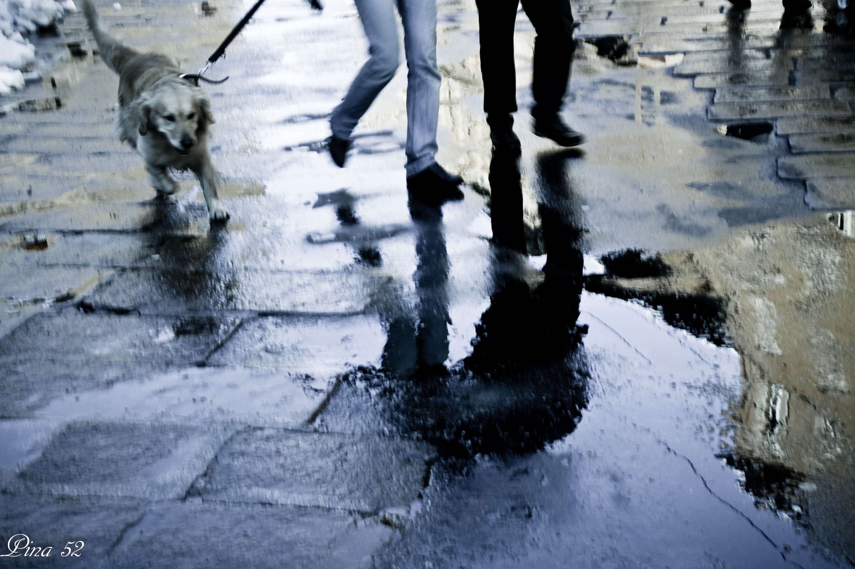 Pozzanghere e neve a Bologna 