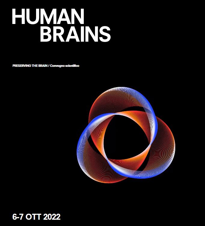 Preserving the Brain