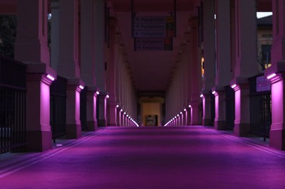 Giornata internazionale dell’epilessia, lunedì 10 febbraio tante le iniziative in Emilia-Romagna e il rinnovato impegno della Regione per sostenere pazienti e familiari