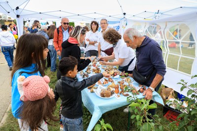 Datti una mossa 2025