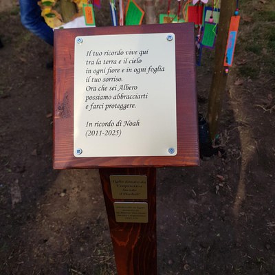 In ricordo di Noah
