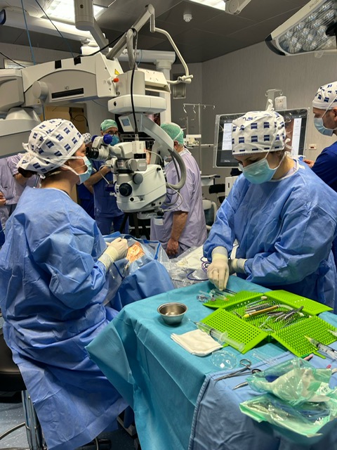 L’Oculistica dell’Azienda USL di Bologna protagonista al Congresso Internazionale AICCER Associazione Italiana di chirurgia della cataratta e refrattiva