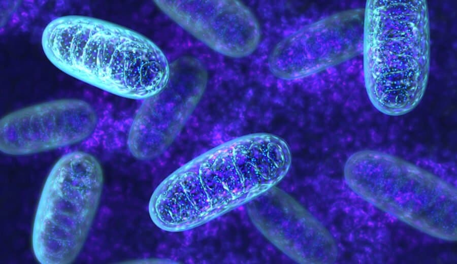 Nuove scoperte sulle malattie mitocondriali, l'IRCCS Istituto delle Scienze Neurologiche di Bologna in prima linea nella ricerca sul deficit di MT-ATP6/8