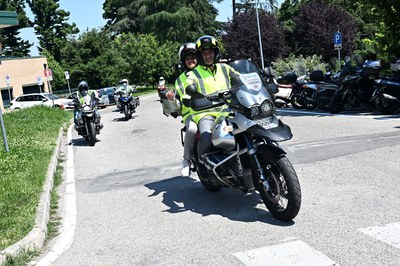 Angelino Motorino 2.JPG