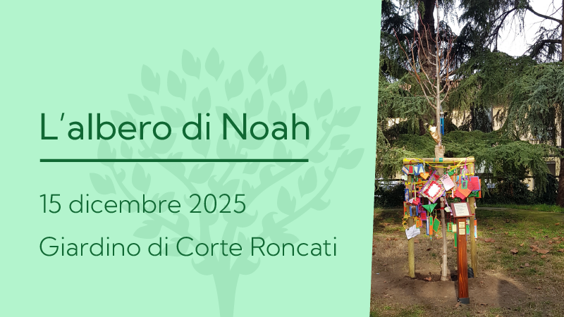 L’albero di Noah