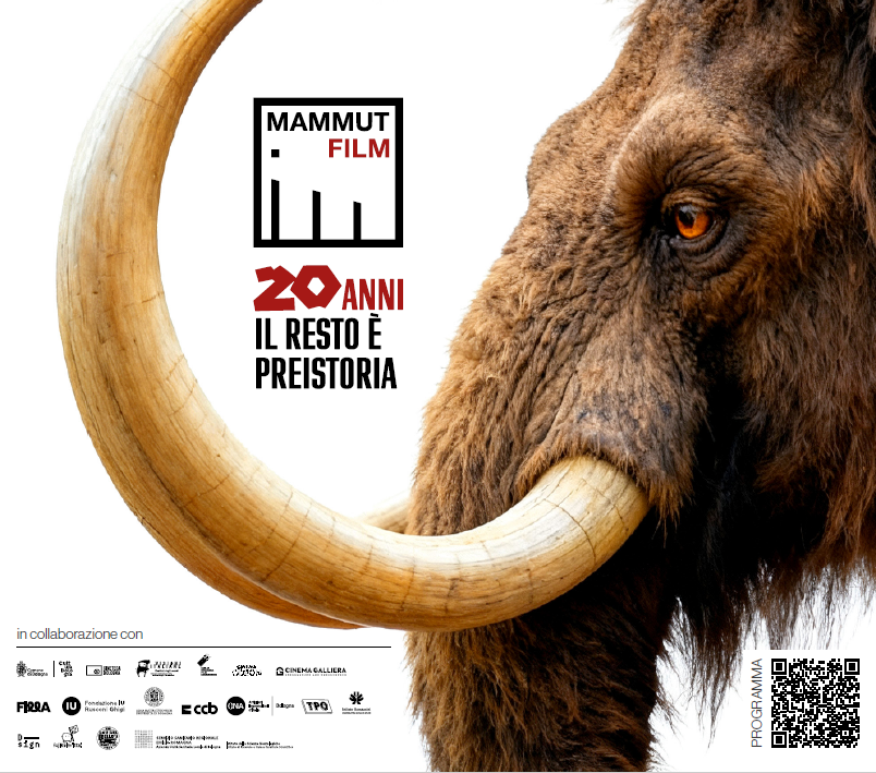 La Casa della Comunità diventa un cinema per i 20 anni di Mammut Film