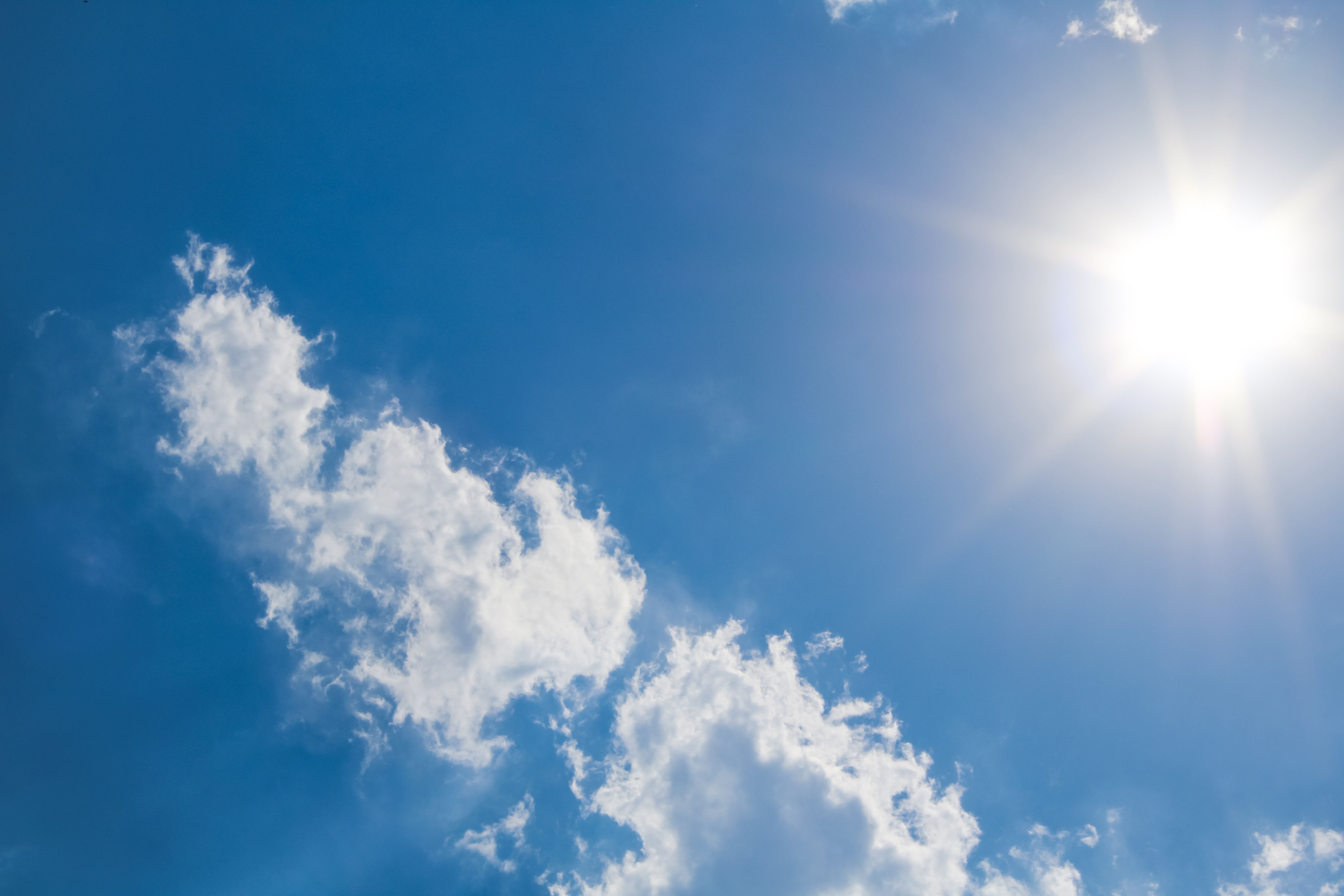 Prosegue almeno fino a domenica 2 agosto l’ondata di calore in atto a Bologna e nei comuni limitrofi e in Pianura. Allertati i servizi sanitari.