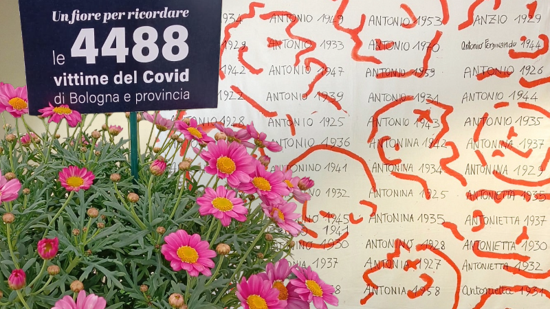 Un fiore per fare memoria in tutti gli ospedali