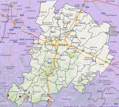 Hygrophoropsis aurantiaca (Wulf.) Maire