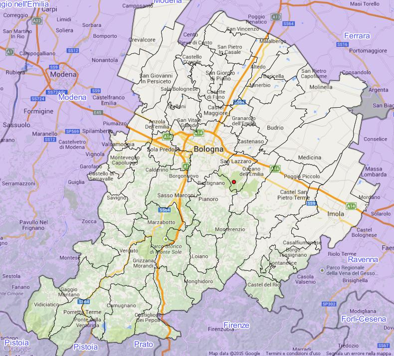 Melanogaster ambiguus (Vittad.) Tul. & C. Tul.
