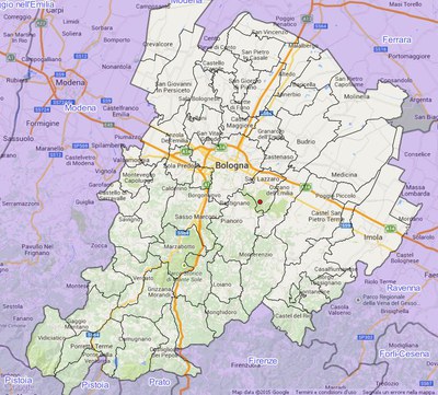 Melanogaster ambiguus (Vittad.) Tul. & C. Tul.
