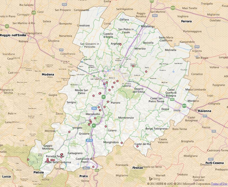 Paxillus involutus(Batsch Fr.) Fr.