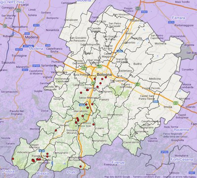 Paxillus involutus(Batsch Fr.) Fr.