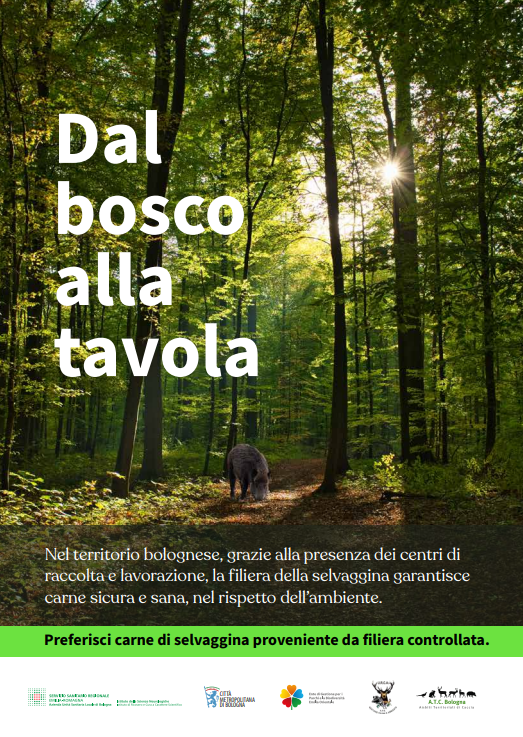 Dal bosco alla tavola