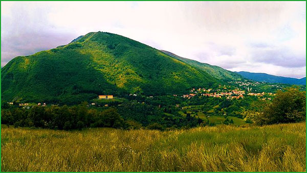Sportello unico distrettuale, gli orari durante le festività