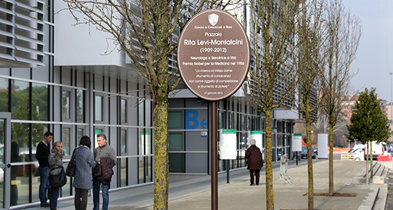 Casa della Salute Reno-Sasso di Casalecchio di Reno, interruzione del servizio telefonico