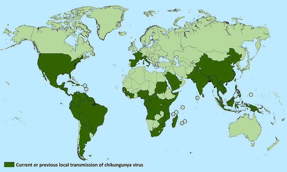 Diffusione Chikungunya