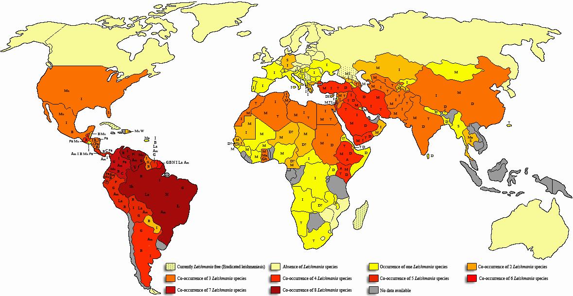 Diffusione Leishmaniosi