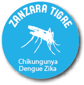 Vettore zanzara tigre