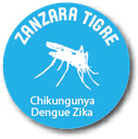 Zanzara tigre