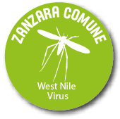 Vettore zanzara comune