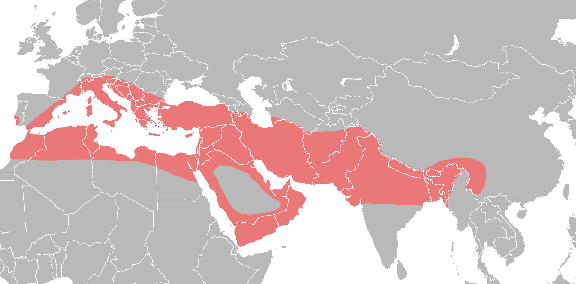Diffusione Toscana virus