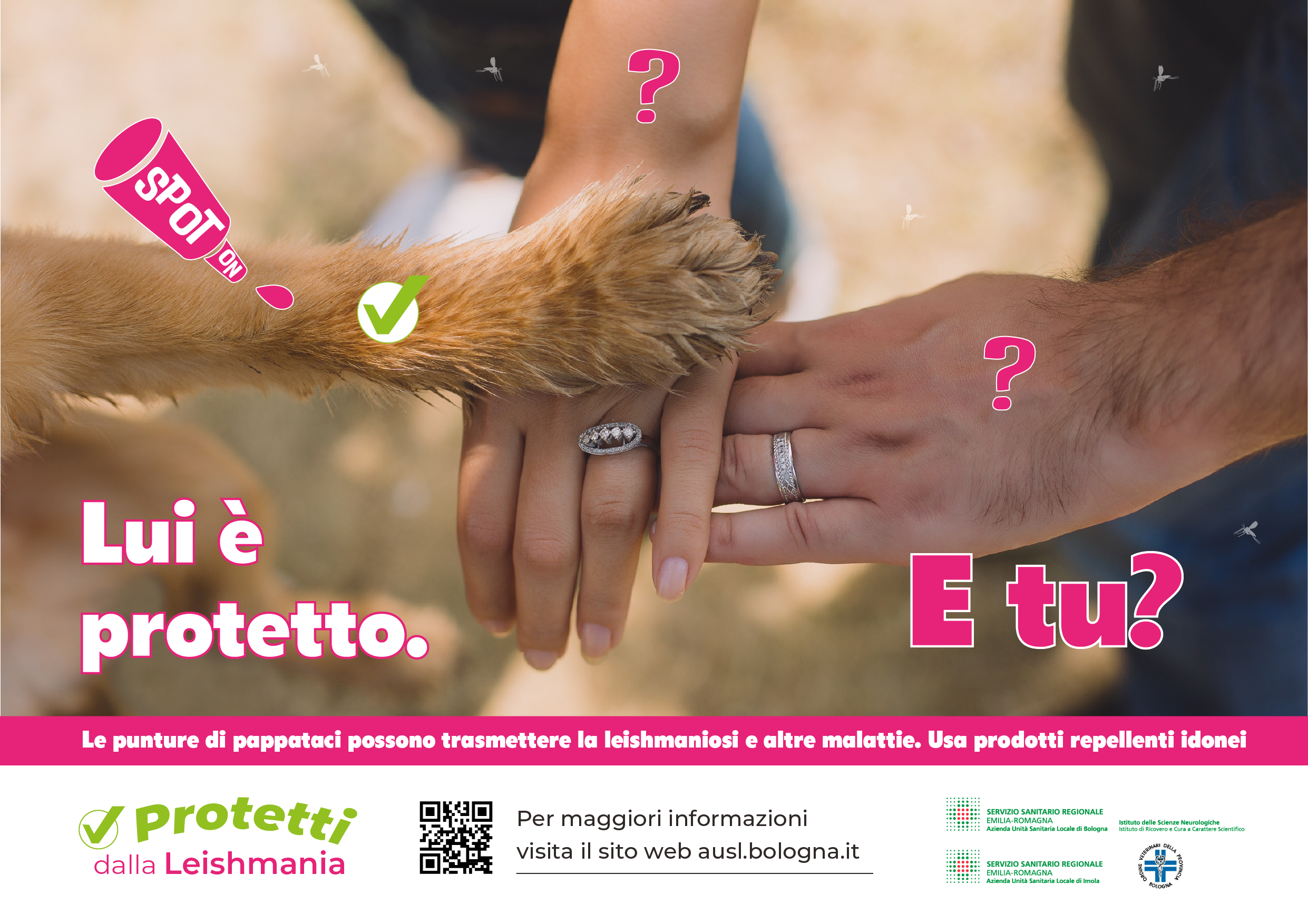 Protetti dalla Leishmania 1