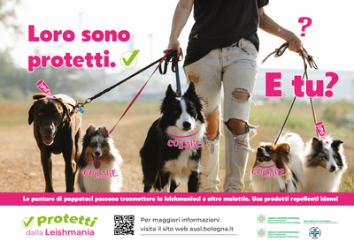 Protetti dalla Leishmania 3