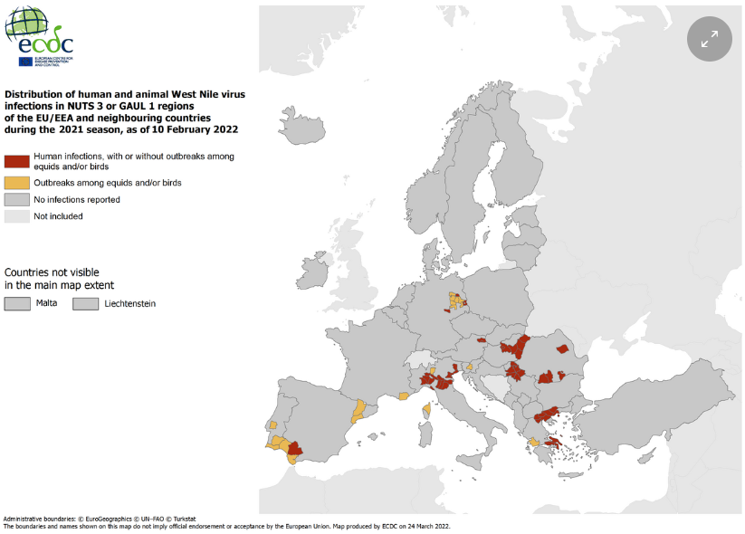 Diffusione West Nile Virus